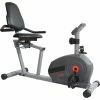 Best Sale 😉 Sunny Health And Fitness Air Fan Rowing Machine Ergometer 🤩 -sports outdoors shop unnamed file 1877